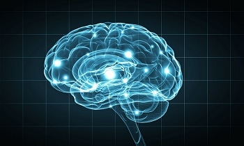 Functional Brain Imaging Using Raman Spectroscopy