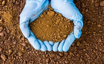 Agricultural Applications of Spectroscopy