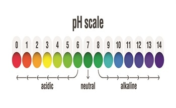 Determining the Acidity and Alkalinity of Lubricants