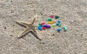All About Microplastics