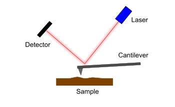 What is Scanning Probe Microscopy (SPM)?