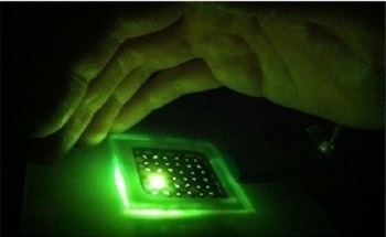 Graphene as a Transparent Electrode for OLED Applications