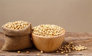 Do Plastics Derived from Soy Beans Exhibit Different Properties to Plastics Derived from Traditional Methods?