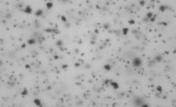 Separating Subcomponents of a Sample Using Particle Shape Analyzers