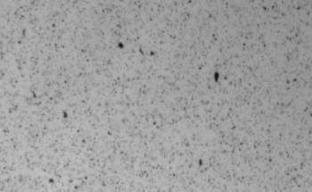 Determining Particle Shape of Ocean Floor Sediments for Marine Research