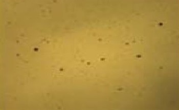 Strip Coated Materials Pre and Post ‘Cleaning’ Surface Analysis
