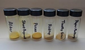 Determining Particle Shape of Pollen - Case Study