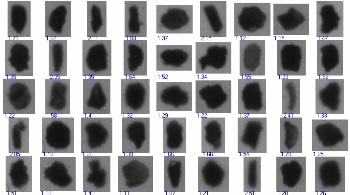 Chromatography Packing Materials - Determining the Particle Shape