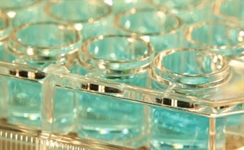 Choosing the Right Elemental Analysis Technique for Your Application