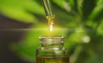 Shaping Cannabis Legalization