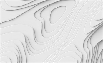 A Comparison of Optical Methods Used for Topography