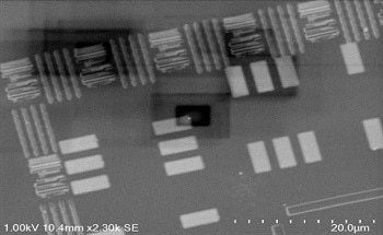 Plasma Cleaning in Electron Microscopes - How the Industry Has Changed
