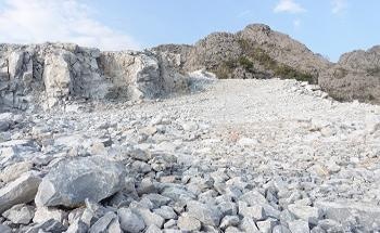 Determination of Flue Gas Desulfurization by Analyzing Limestone