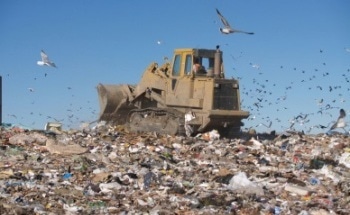 Determining Hazardous Elements in Municipal Solid Waste