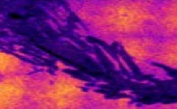 Lithium Salts Distribution on Cu Electrodes