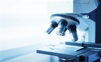 What is the Highest Magnification Image Ever?