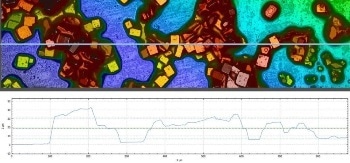 Measuring the Performance of Floating Photovoltaics (PVs) When Affected by Salt Deposition