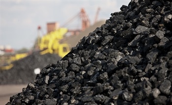 Investigating the Pyrolytic Behaviors of Fuel Waste Components