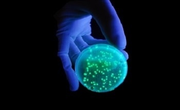 An Introduction to the Theory Behind Fluorescence Spectrometers