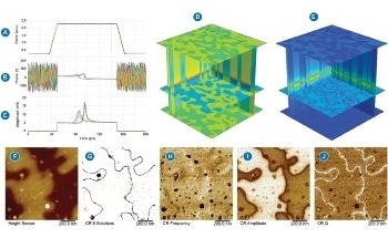 Case Studies of DataCube Scanning Microwave Impedance and Piezoforce Microscopy