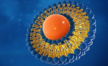 An Introduction to the Methods Used to Measure the Surface Charge and Size of Exosomes, Microvesicles and Liposomes