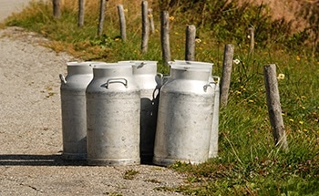 Using Centralized Data Collection in a Dairy Cooperative