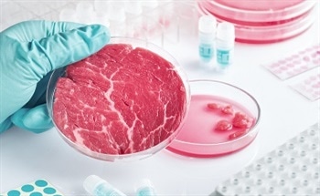 Food Analysis - An Introduction
