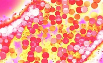 A Comparison Between Particle Analysis Techniques