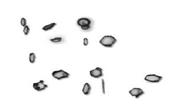 An Introduction to Frac Sands and Automation