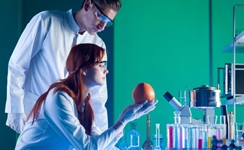Nutrition Analysis Techniques to Determine the Nutritional Content of Food