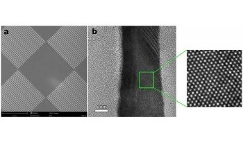 The Similarities and Differences Between SEM and TEM