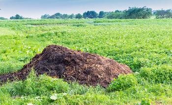 Assessing the Safety and Effectiveness of Organic Fertilizers