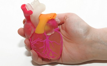 How 3D Printed Models Assist Surgeons