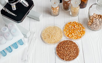 Microparticle Food Analysis Using Raman Imaging