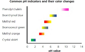 Automated vs Manual Titration, Which Should You Use?