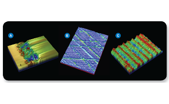 Using 3D Optical Profiles for Quantitative Metrology in Automotive Manufacturing