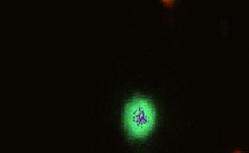 Multispectral Flow Cytometry and the Benefit of a Single-Element Detector