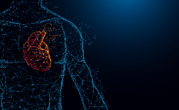 The Role of Polymer Patches in Heart Tissue Repairs