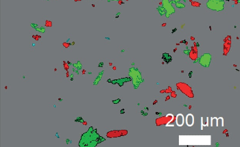 Using Morphological and Chemical Features to Characterize Aeroallergens