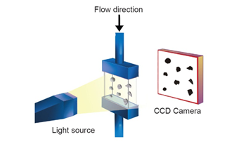 Particle Size, Shape, Concentration and Classification in Real-Time for In-Process Crystallization Testing