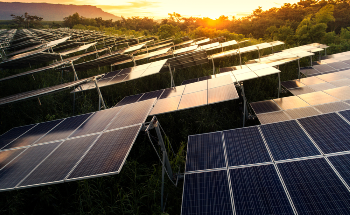 The Development of a Groundbreaking Perovskite Solar Cell