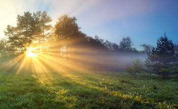 Lighting the Way to Cleaner Fuel: Using Solar Energy to Create Renewable Fuel