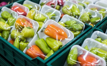 Comparing the Curing Speed of Adhesives in Food Packaging