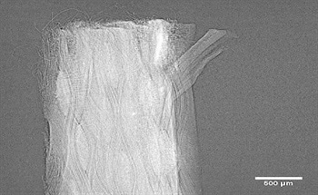 Advancements in Micro-CT Technology