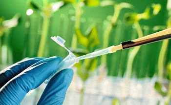 Simultaneous Determination of Residual Agricultural Chemicals in Food