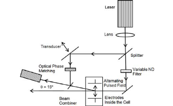 Zeta Potential Analyzers: A Guide to Selection