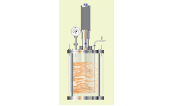 Multipoint Analysis in Biological Production by Process Mass Spectrometry