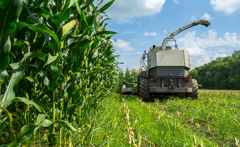 Analysis of Forage in Combine Harvesters with NIR