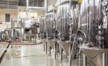Optimization of the Beer Fermentation Process