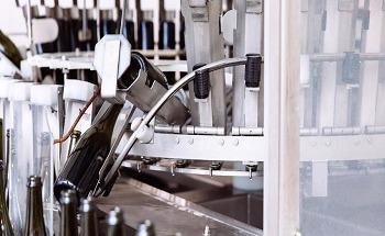 Winemaking: Removing the Subjectivity
